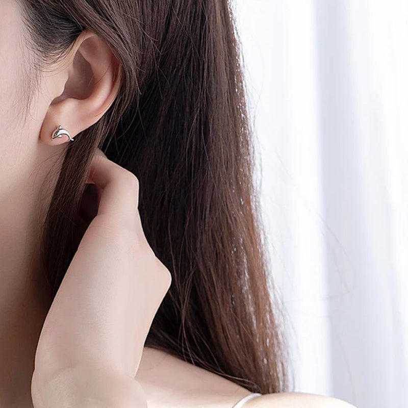Silver Dolphin Studs Earrings