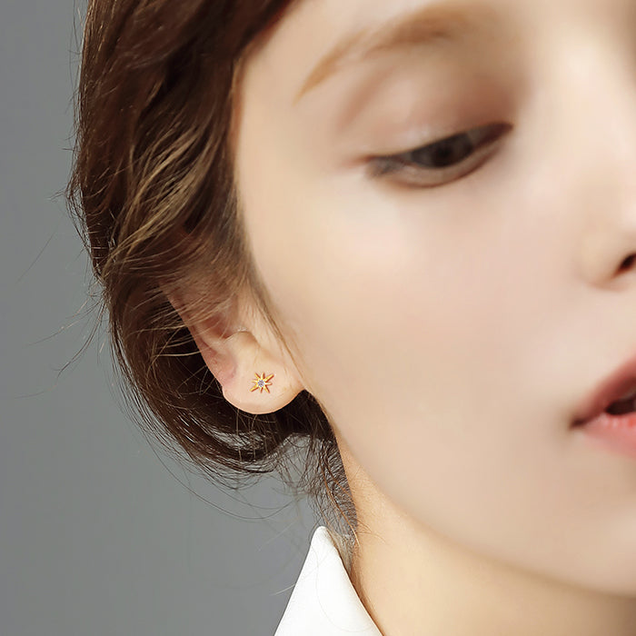 Tiny Star Ear Studs
